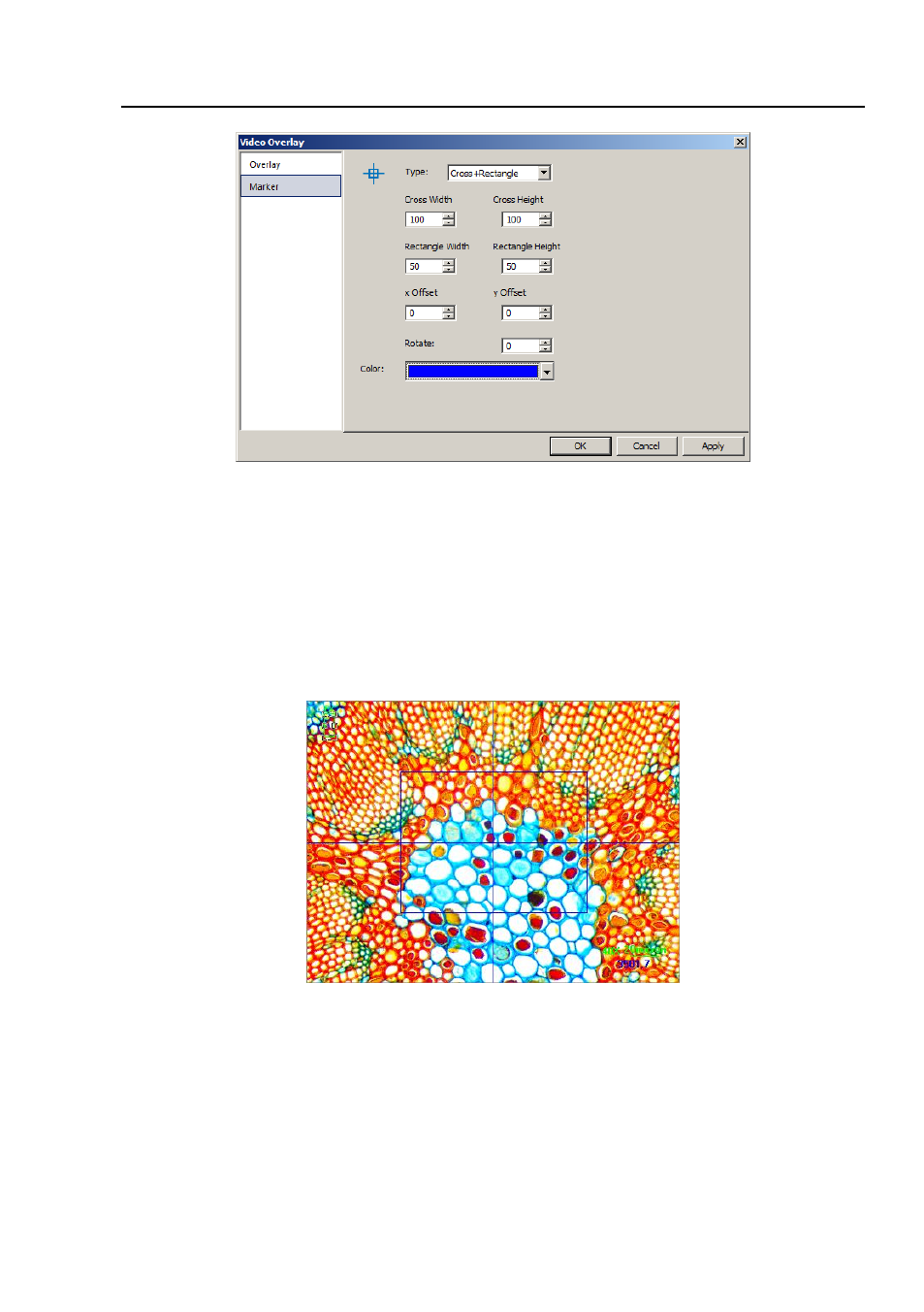 background image