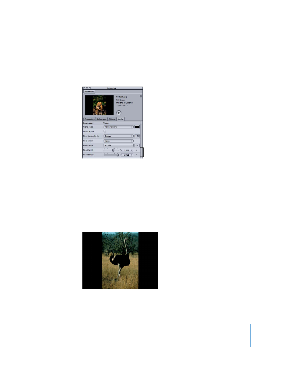background image