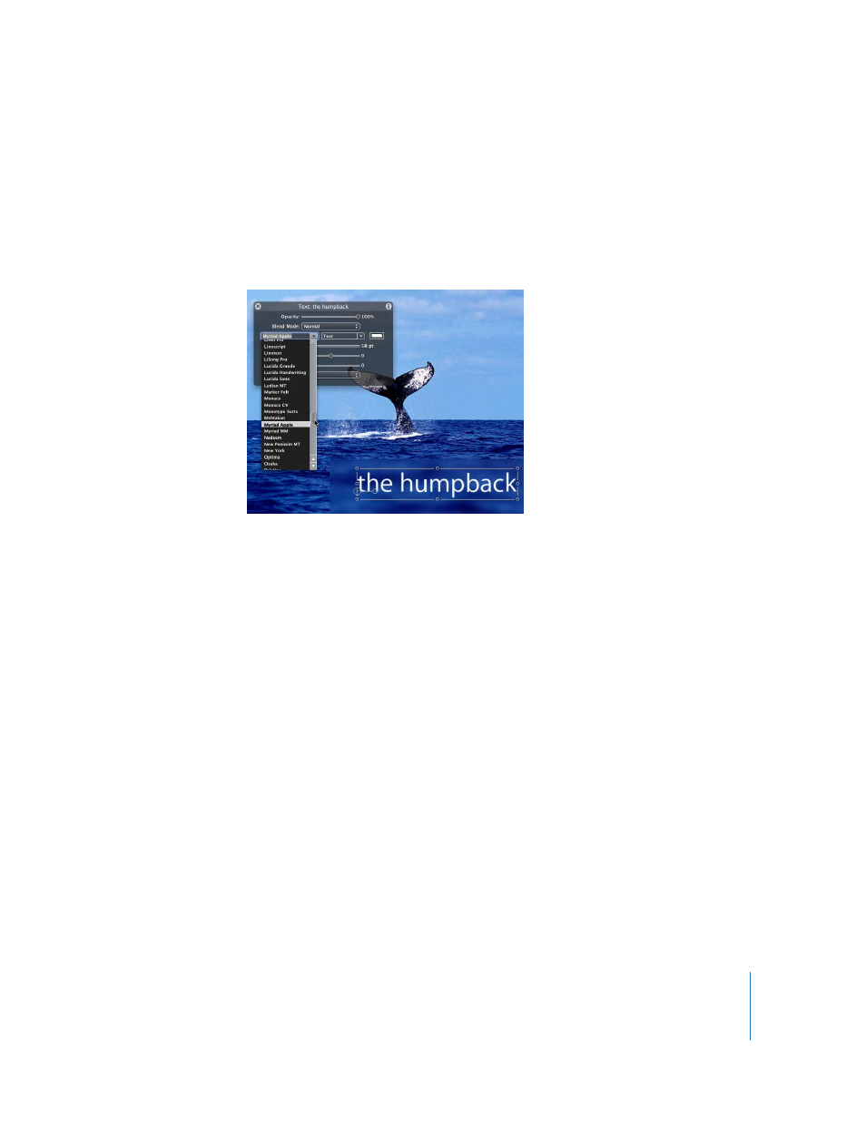background image