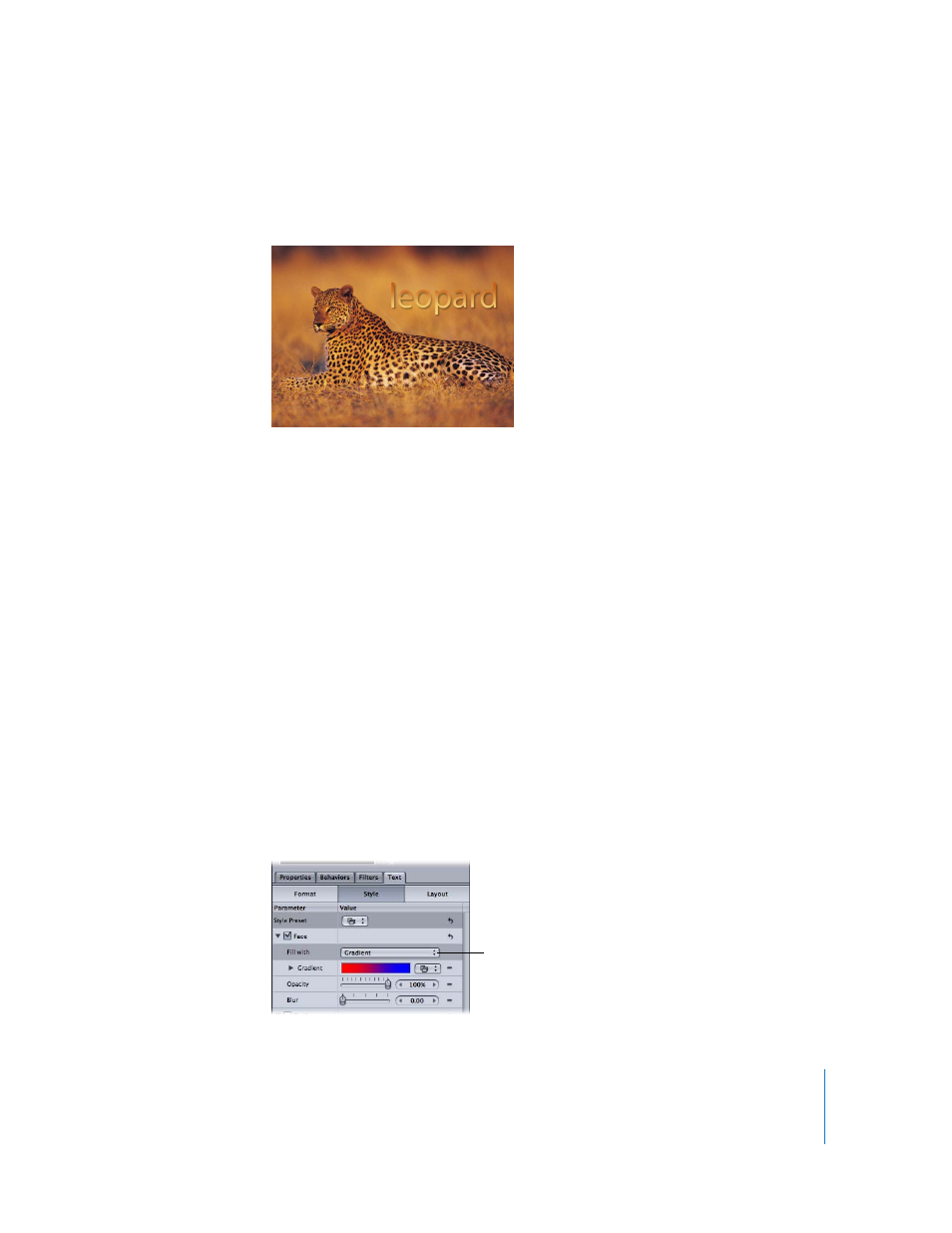 background image