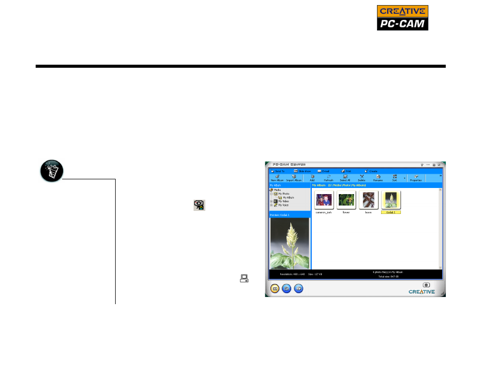 background image