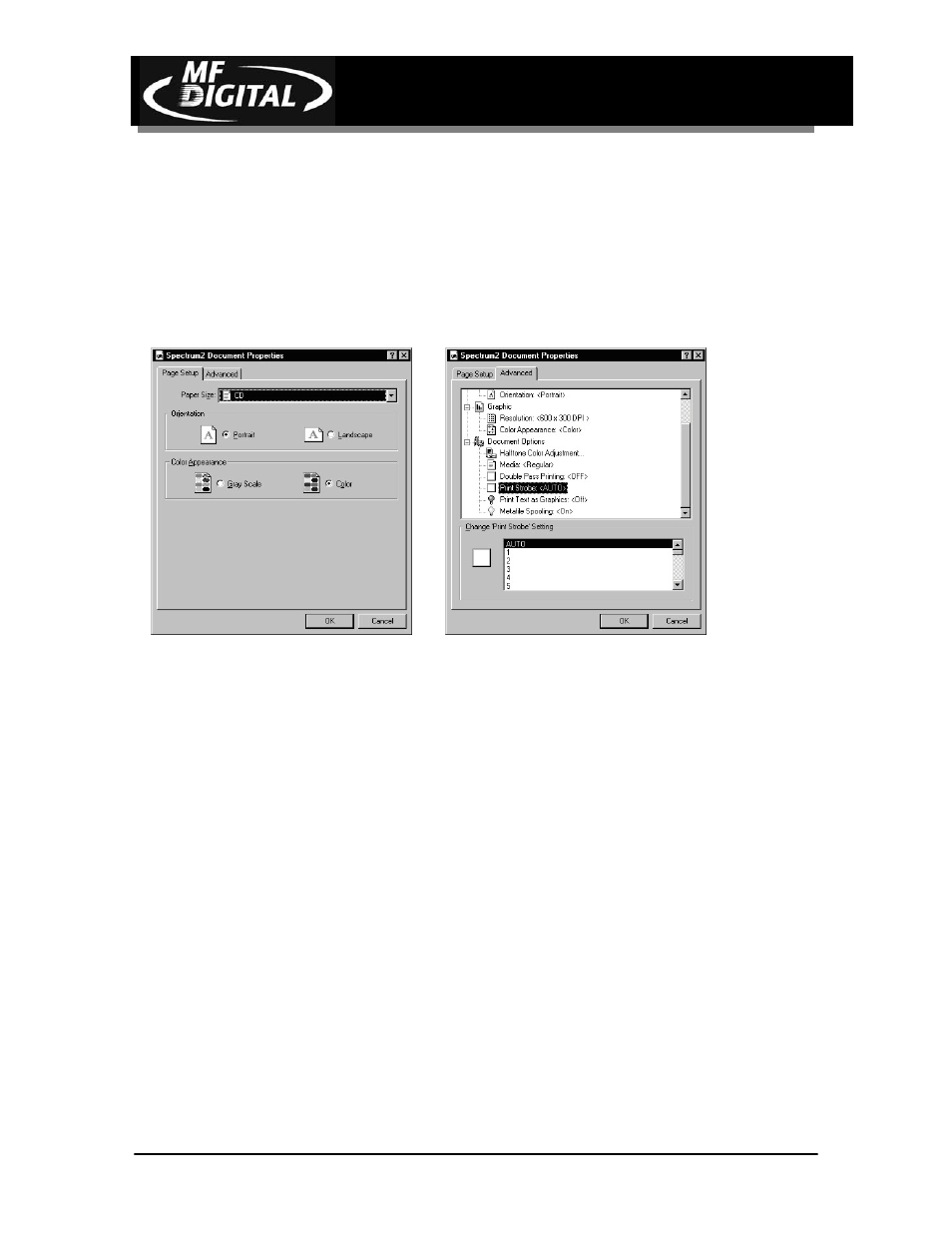 background image