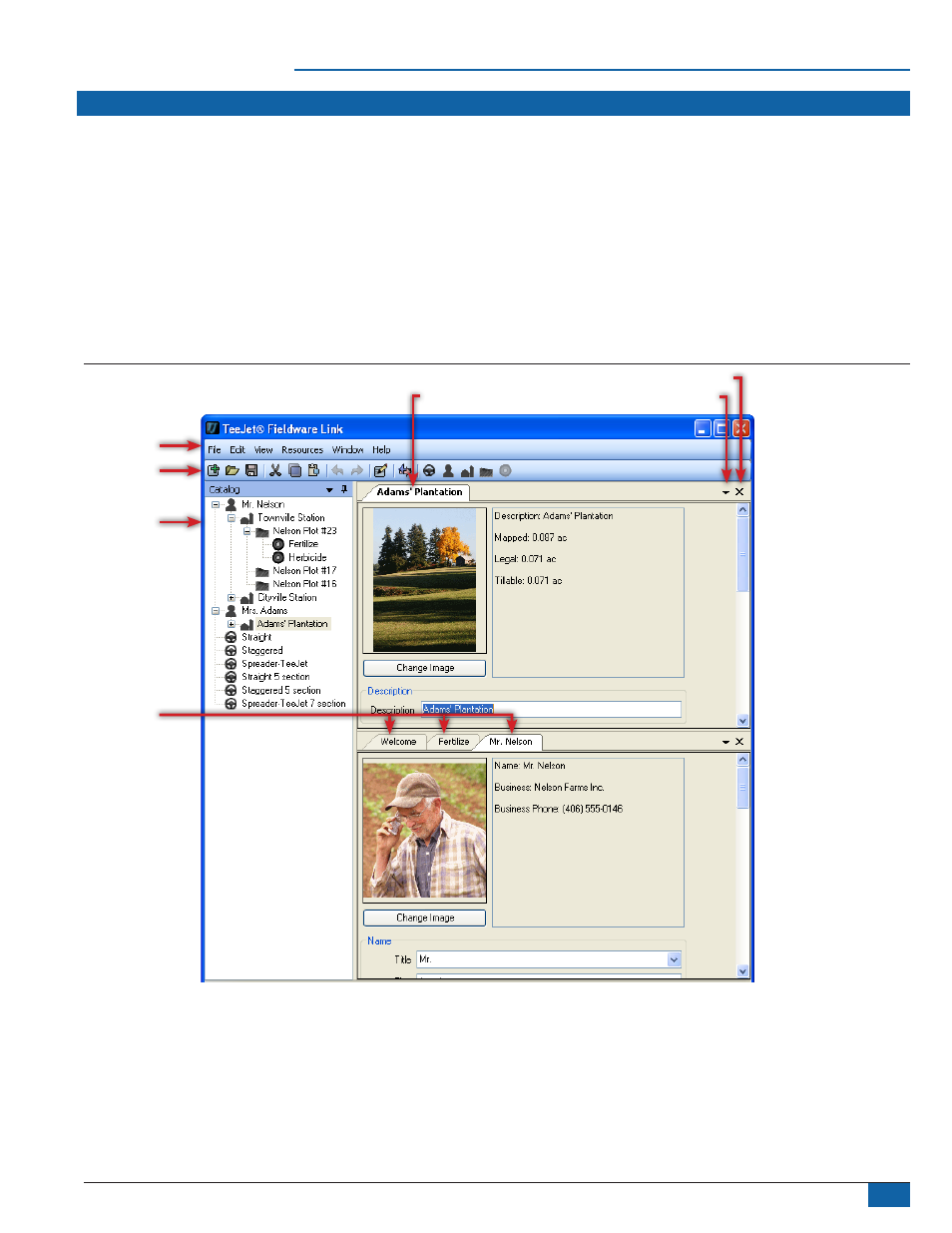 background image