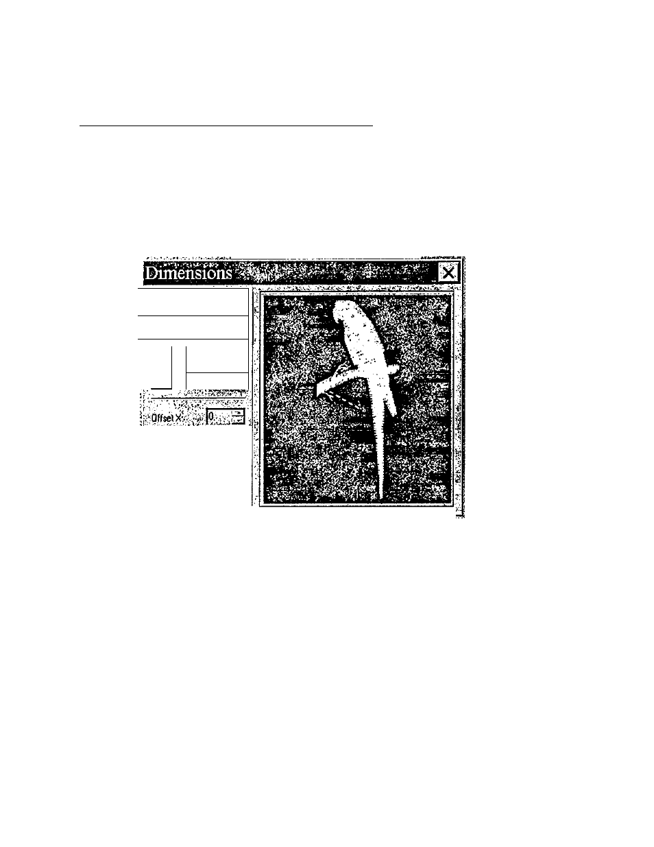 background image
