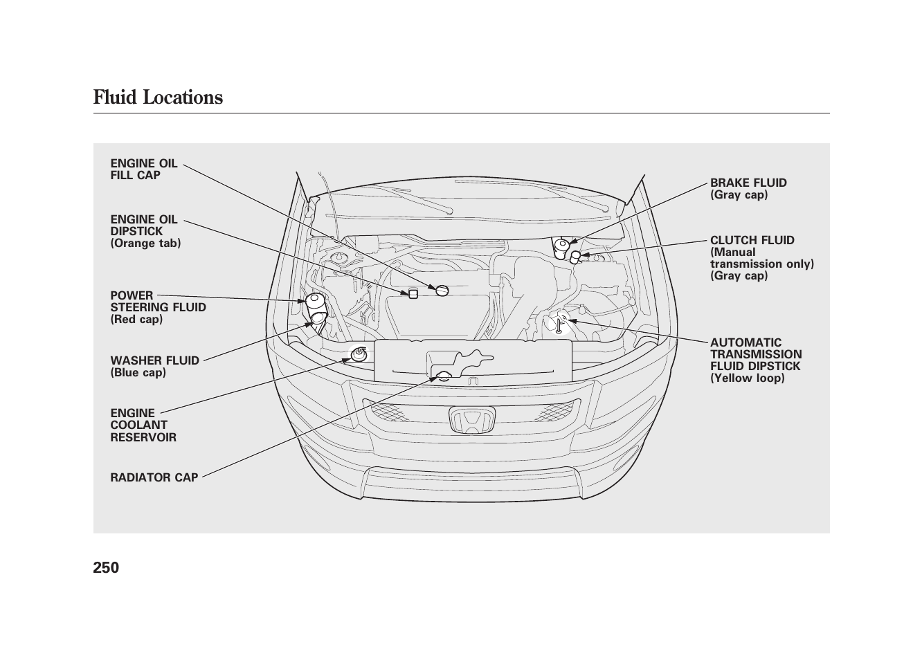 Fluid locations | HONDA 2009 Element User Manual | Page 256 / 346