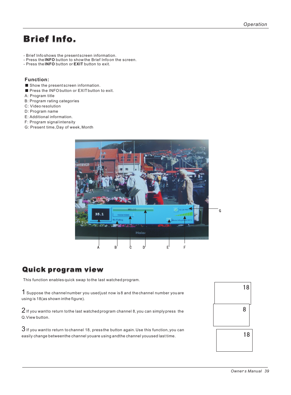 Brief info, Quick program view 1 | haier 42HP25BAT User Manual | Page 39 / 50