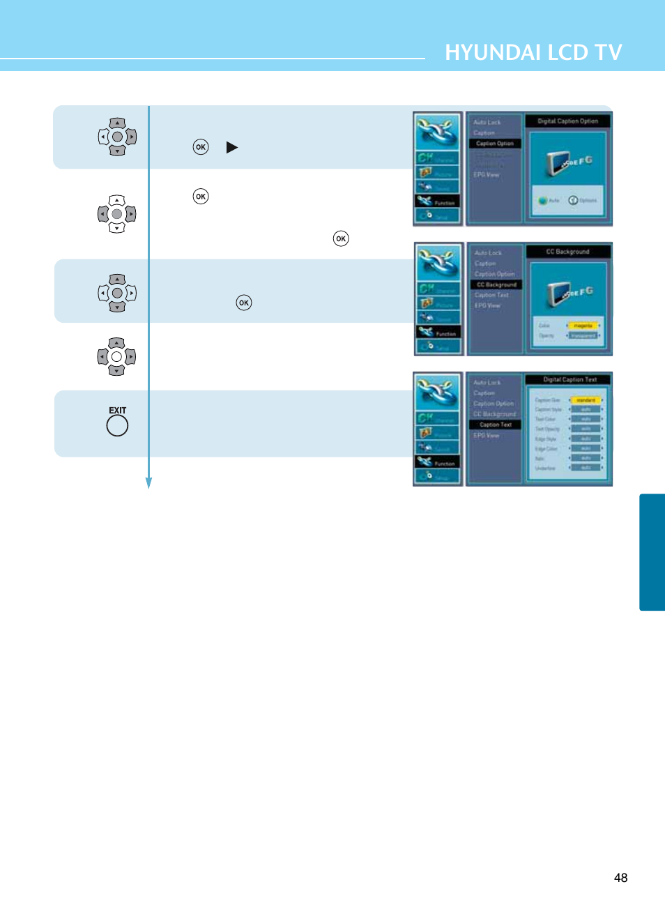 Hyundai lcd tv | Hyundai E261D User Manual | Page 51 / 69