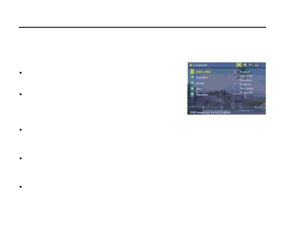 Dvd setup | Hyundai H-CMD7087 User Manual | Page 29 / 80