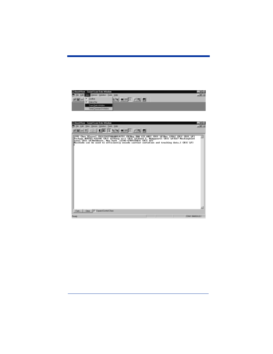 Scan data window | Hand Held Products 4410 User Manual | Page 134 / 204
