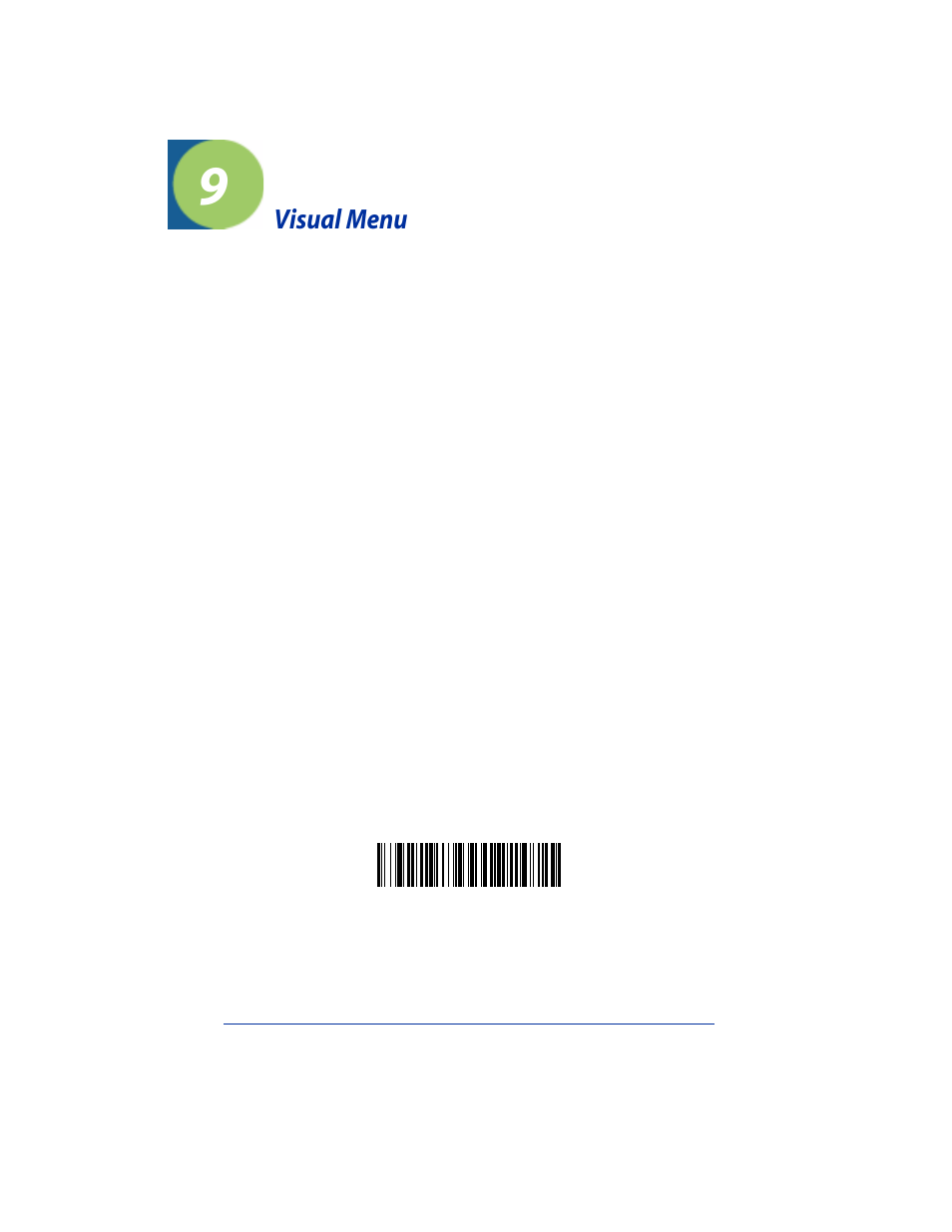 Visual menu, Visual menu introduction, Temporary visual menu configuration | Installing visual menu from the web, Chapter 9 - visual menu, Visual menu introduction -1 | Hand Held Products IT3800 User Manual | Page 117 / 164