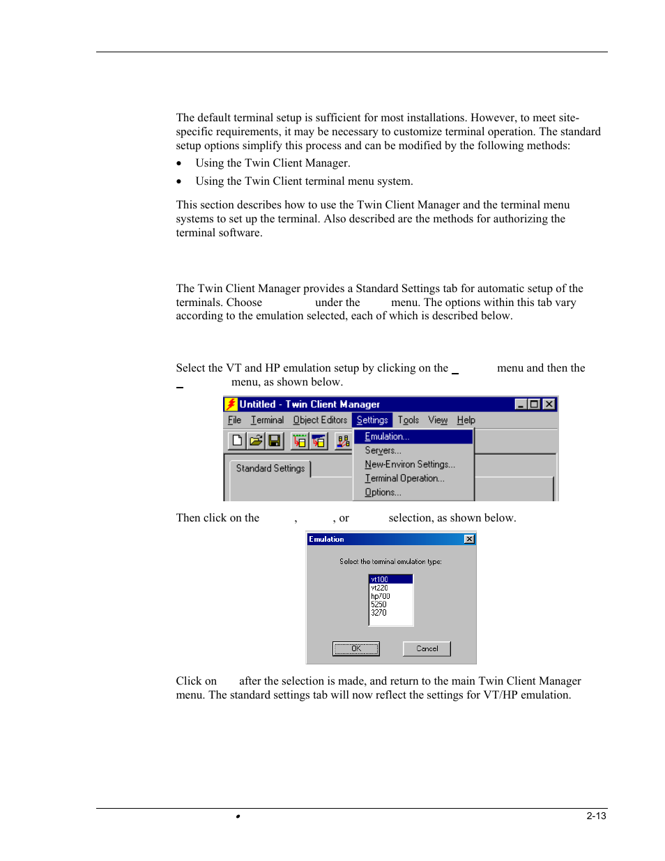 Standard setup, Setup using twin client manager | Hand Held Products DOLPHIN 9500 User Manual | Page 23 / 132