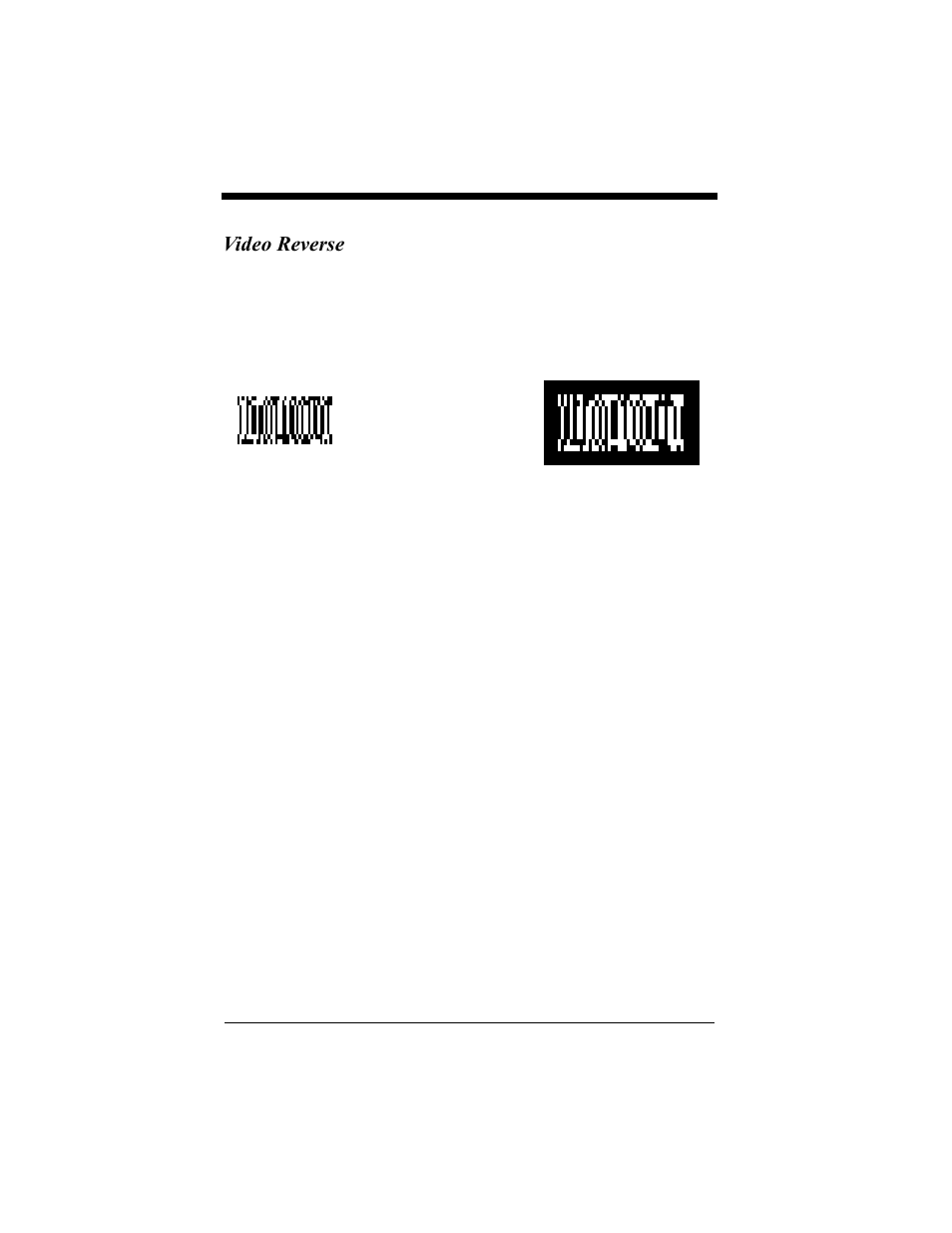 Video reverse, Video reverse -49 | Hand Held Products 4410 User Manual | Page 69 / 208