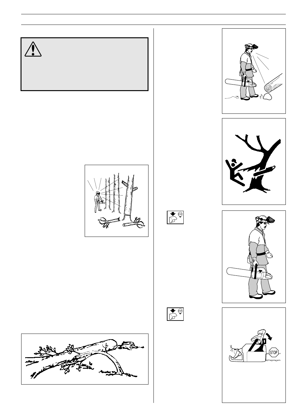 Safety instructions, General working instructions, Important | 1 basic safety rules | Husqvarna 355 User Manual | Page 19 / 36