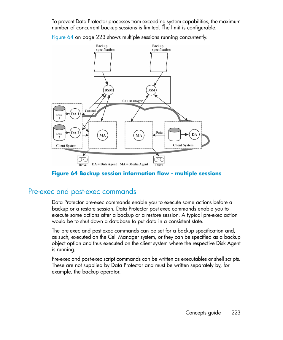 Pre-exec and post-exec commands | HP B6960-96035 User Manual | Page 223 / 422
