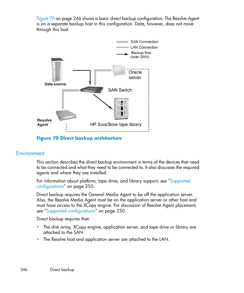 Environment, Direct backup architecture | HP B6960-96035 User Manual | Page 246 / 422