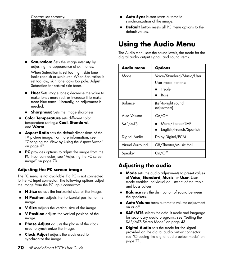 Using the audio menu, Adjusting the audio | HP 1080p User Manual | Page 83 / 426