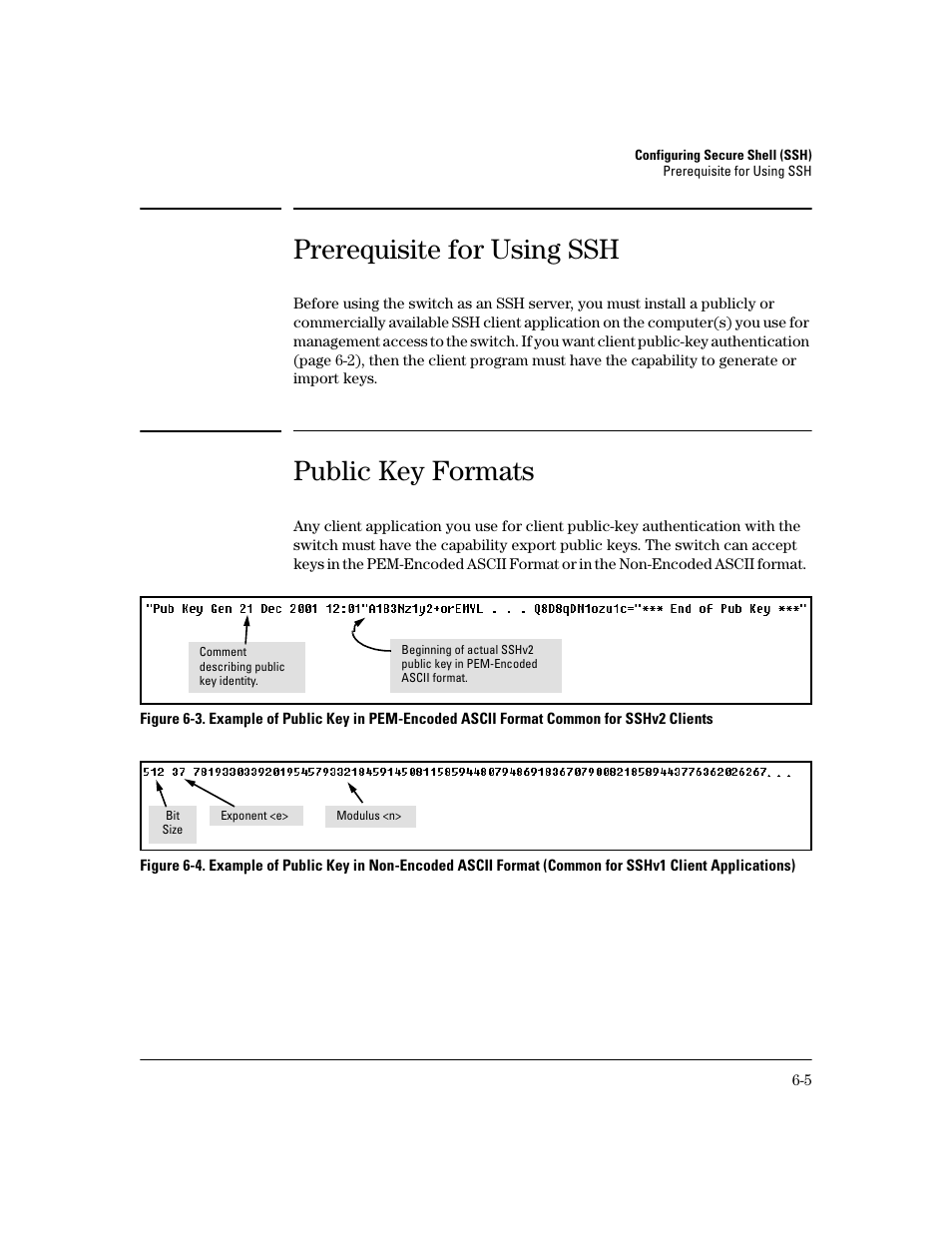 Prerequisite for using ssh, Public key formats, Prerequisite for using ssh -5 | Public key formats -5 | HP 2800 User Manual | Page 137 / 300