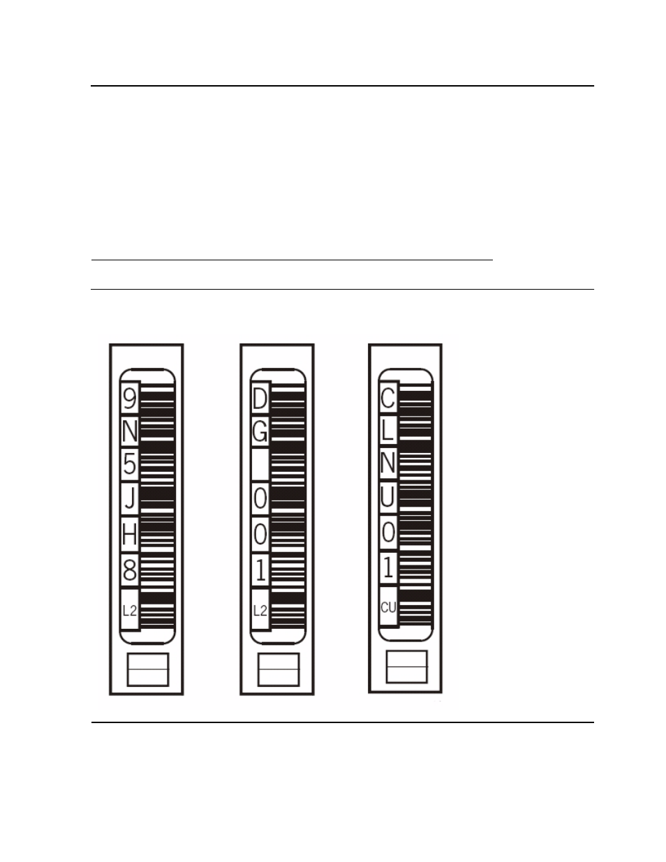 Figure 4-2, Lto cartridge labels, Table 4-1 | Lto cartridge codes | HP SL500 (M852x) User Manual | Page 48 / 76