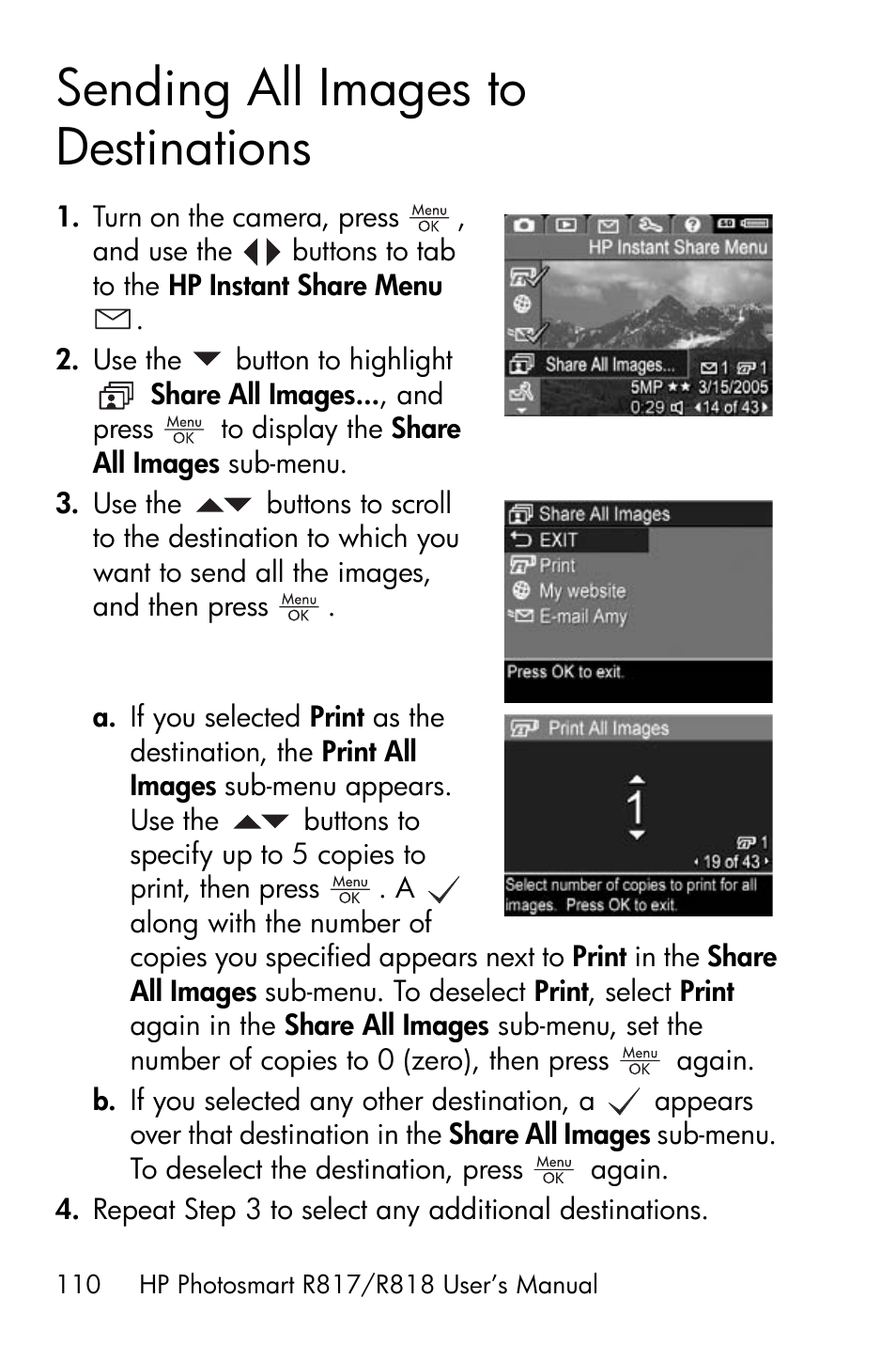 Sending all images to destinations | HP R818 User Manual | Page 110 / 200