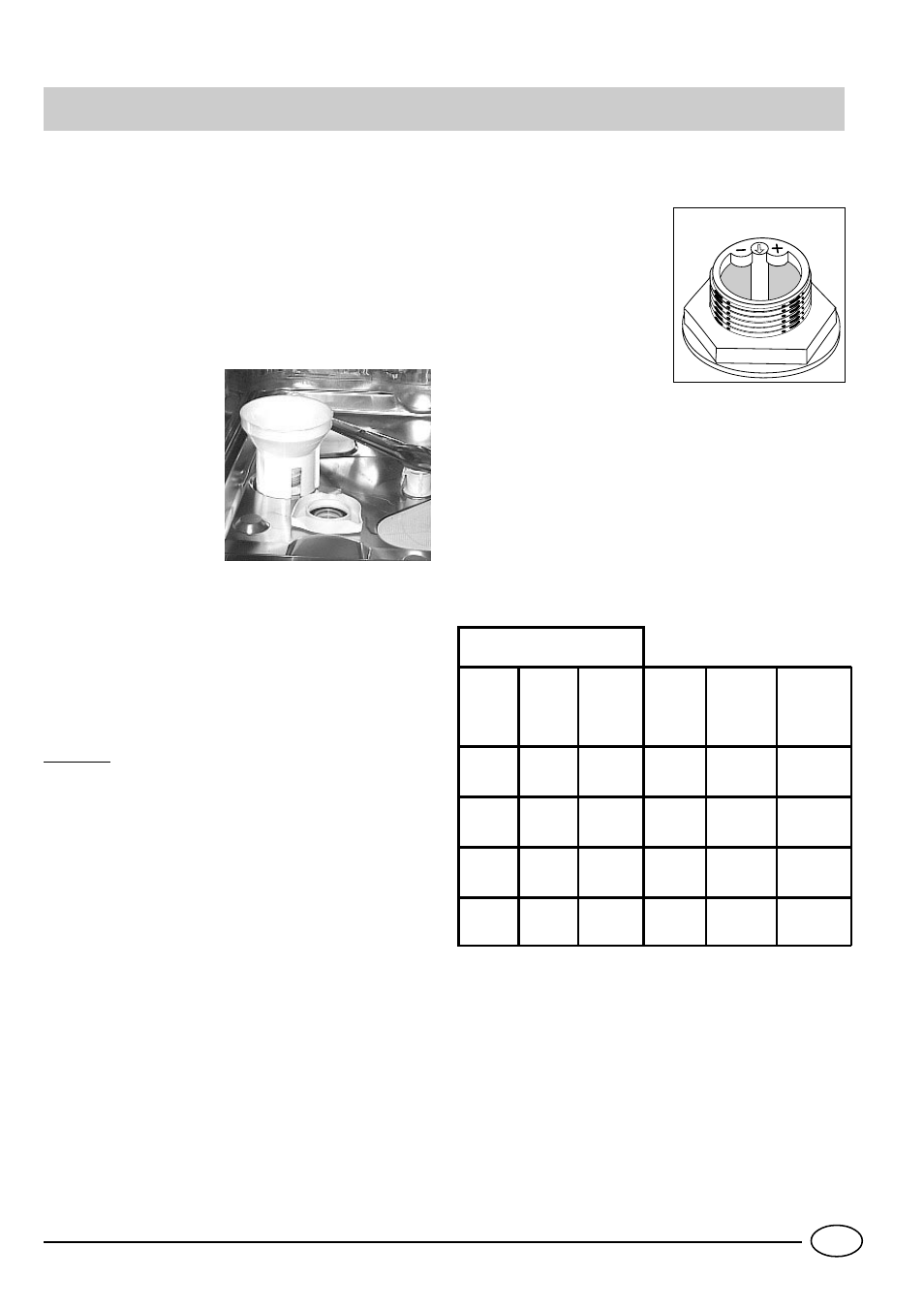 Salz | Indesit IDL 42 EU User Manual | Page 36 / 76