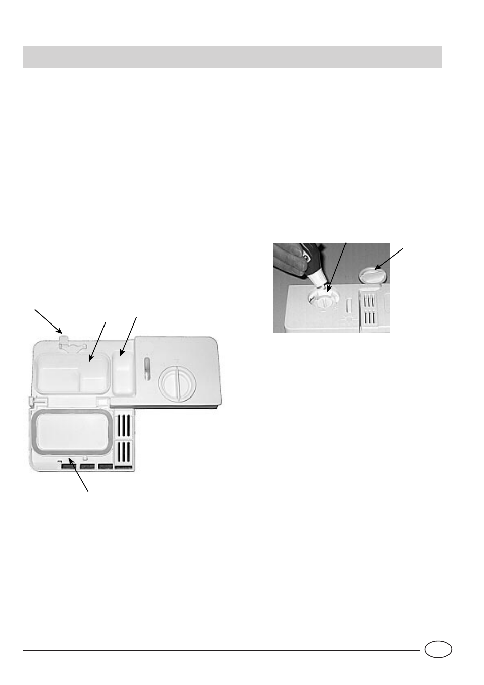 Detergent and rinse aid | Indesit IDE 44 EU User Manual | Page 17 / 80