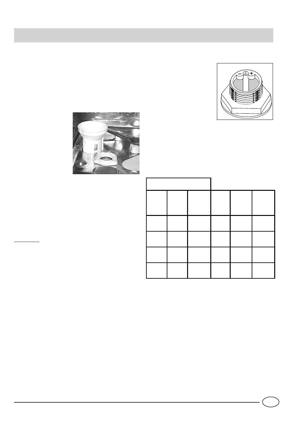 Zout | Indesit IDE 44 EU User Manual | Page 49 / 80