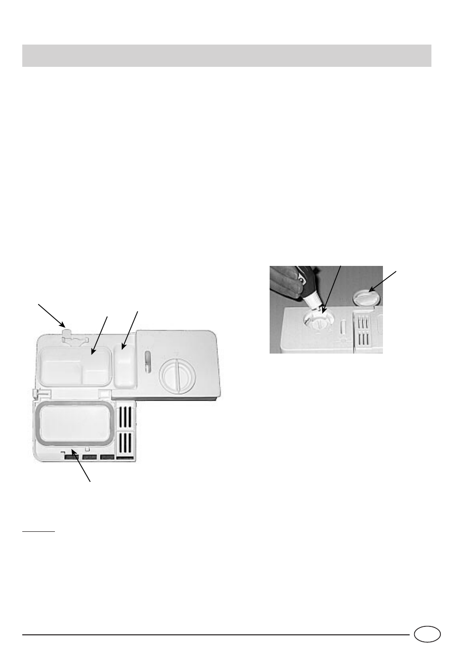 Detergente y abrillantador | Indesit IDE 44 EU User Manual | Page 61 / 80