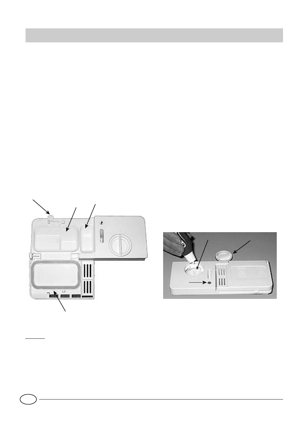 Reiniger-und klarspüler | Indesit IDL 40 EU User Manual | Page 37 / 76