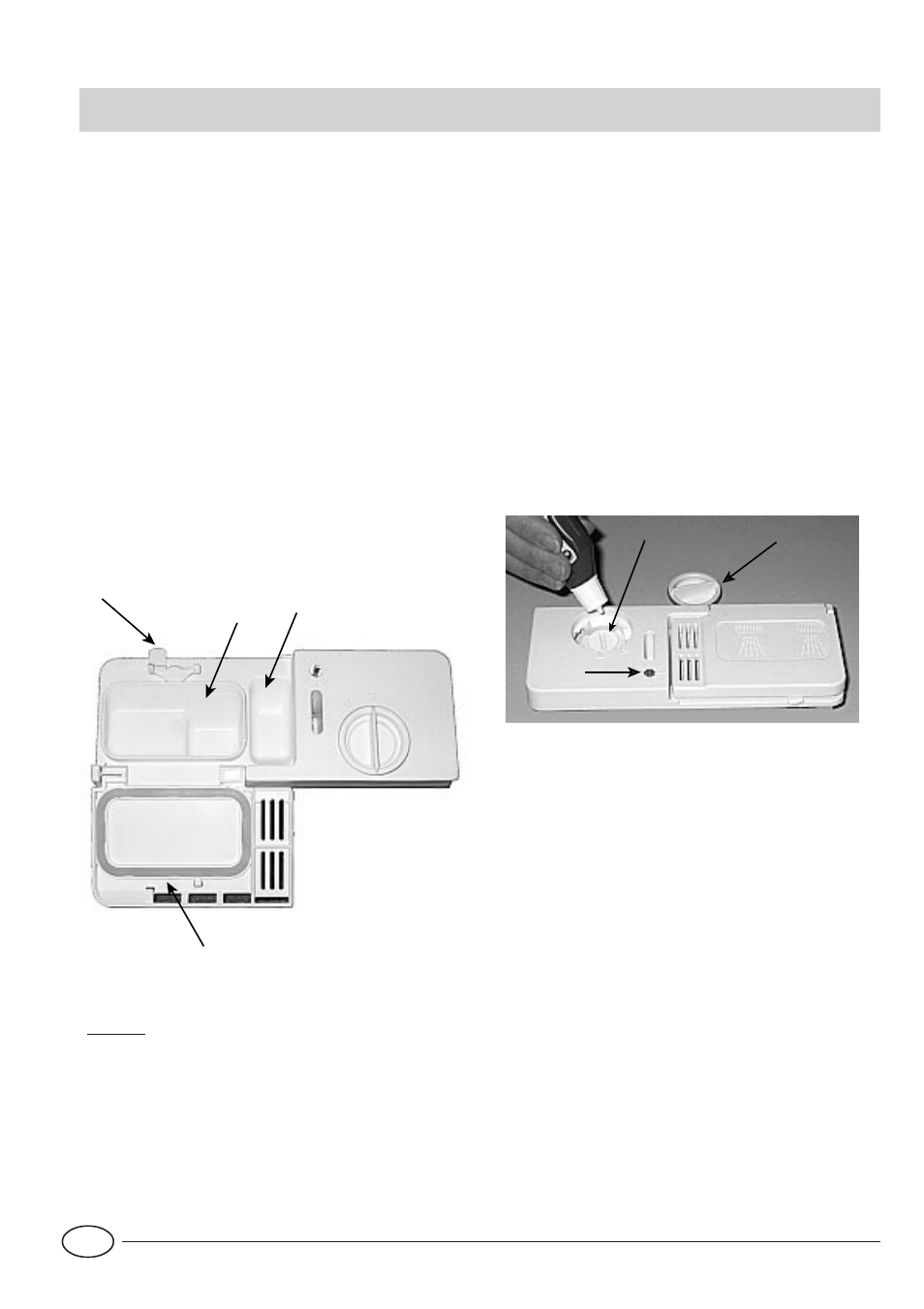 Detergente e preparado para brilho | Indesit IDL 40 EU User Manual | Page 67 / 76