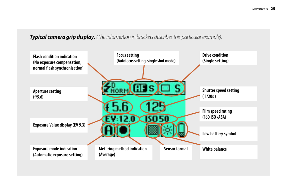 Typical camera grip display | Hasselblad H1D User Manual | Page 25 / 184