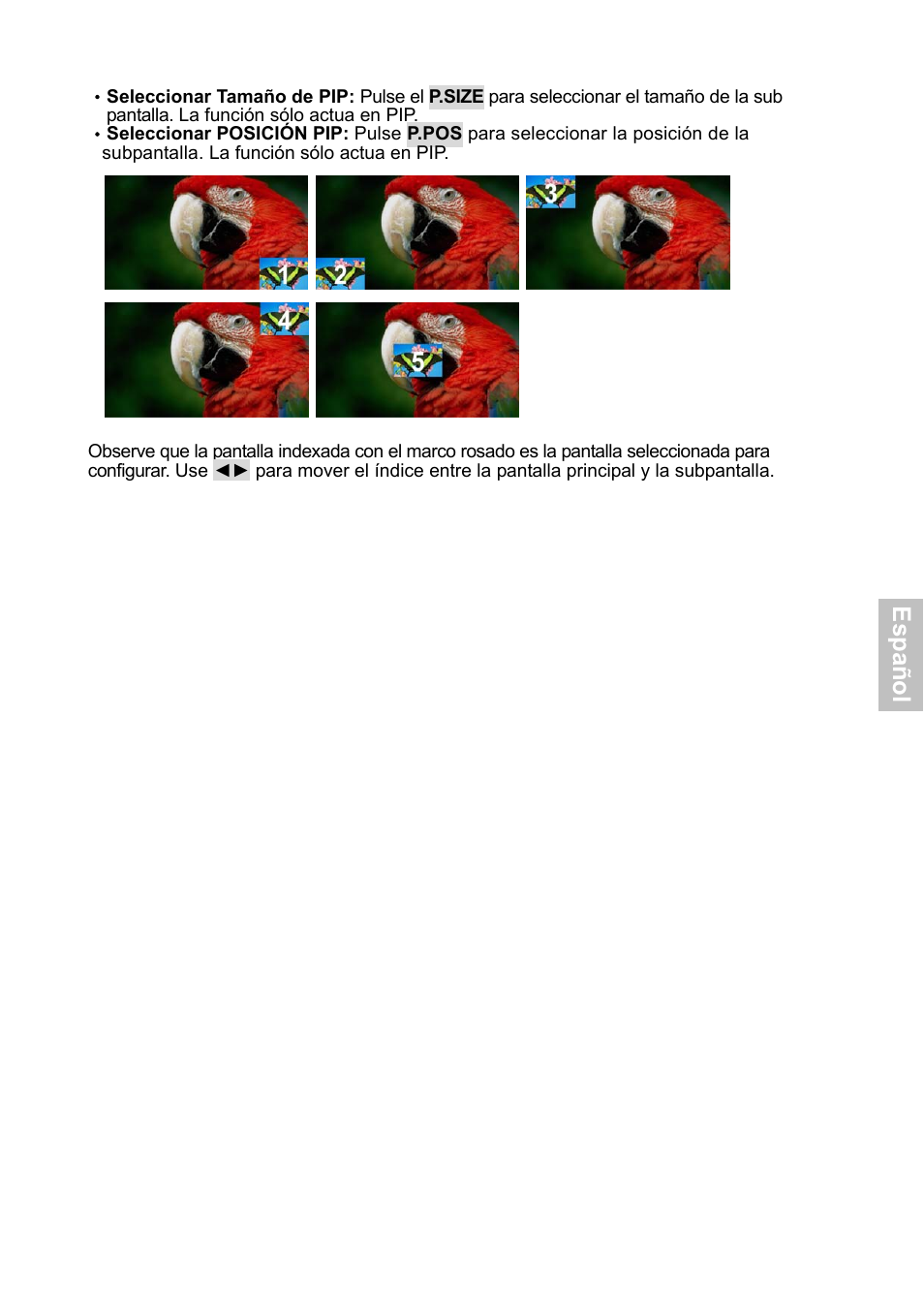 Esp añ o l | HANNspree XV Series 32 User Manual | Page 58 / 91