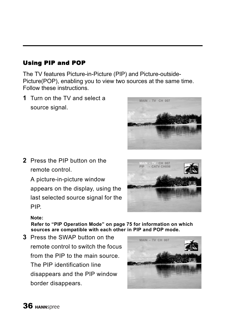 Using pip and pop, Turn on the tv and select a source signal | HANNspree LT11-23A1 User Manual | Page 37 / 81