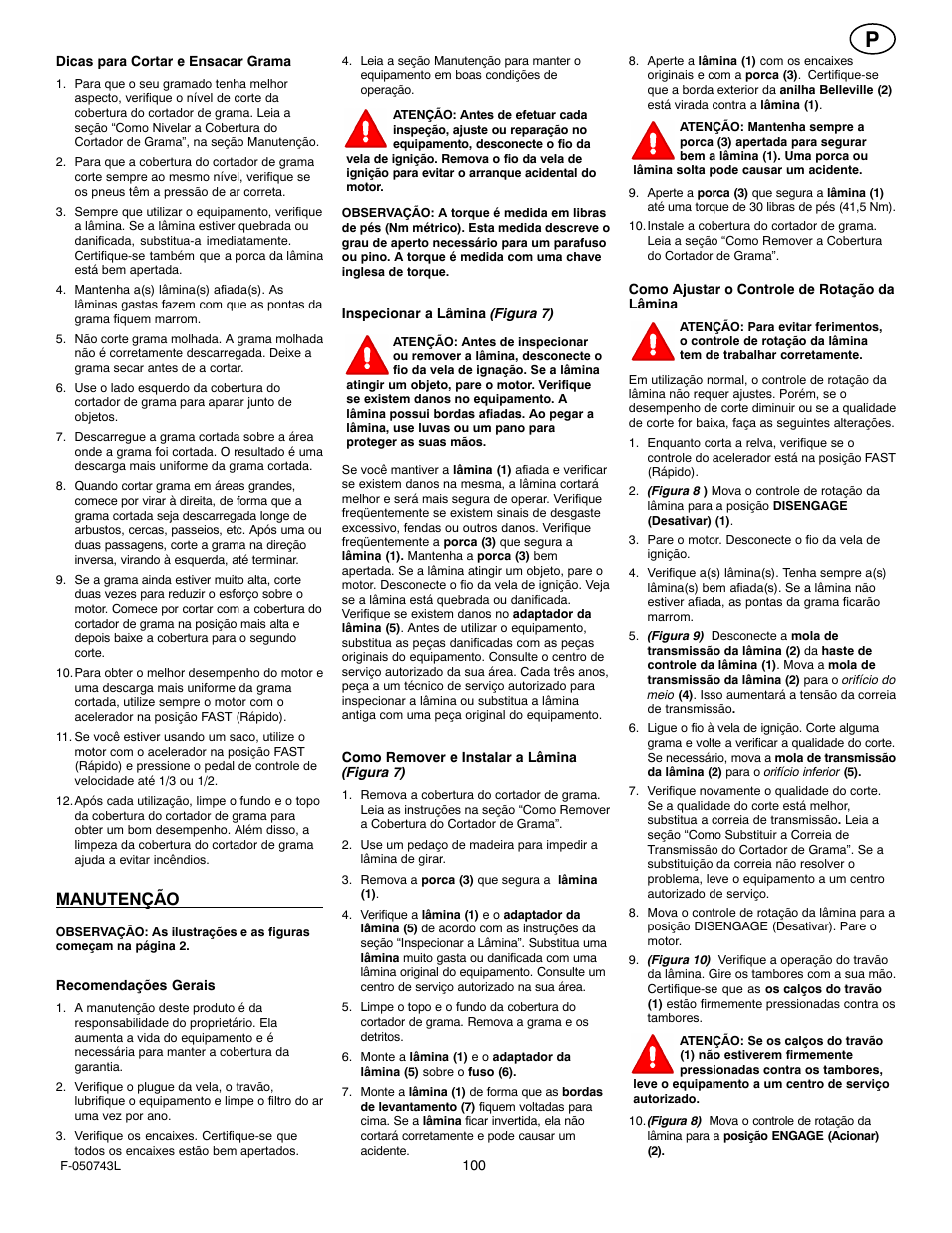 Manutenção | Hayter Mowers 405607x52A User Manual | Page 100 / 124