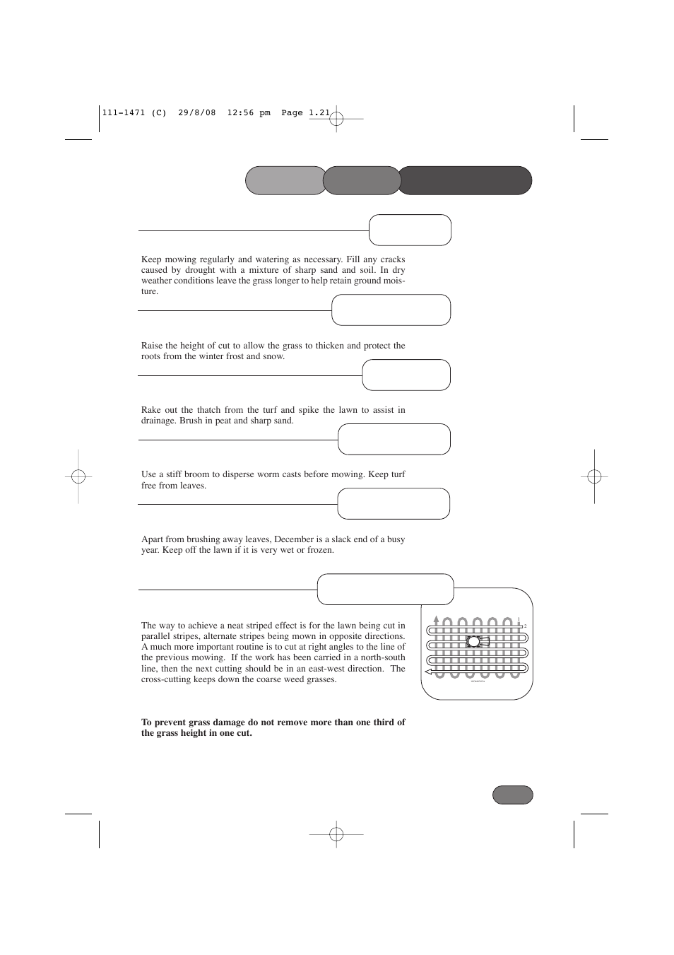 Lawn stripes | Hayter Mowers Harrier 56 561F User Manual | Page 21 / 44