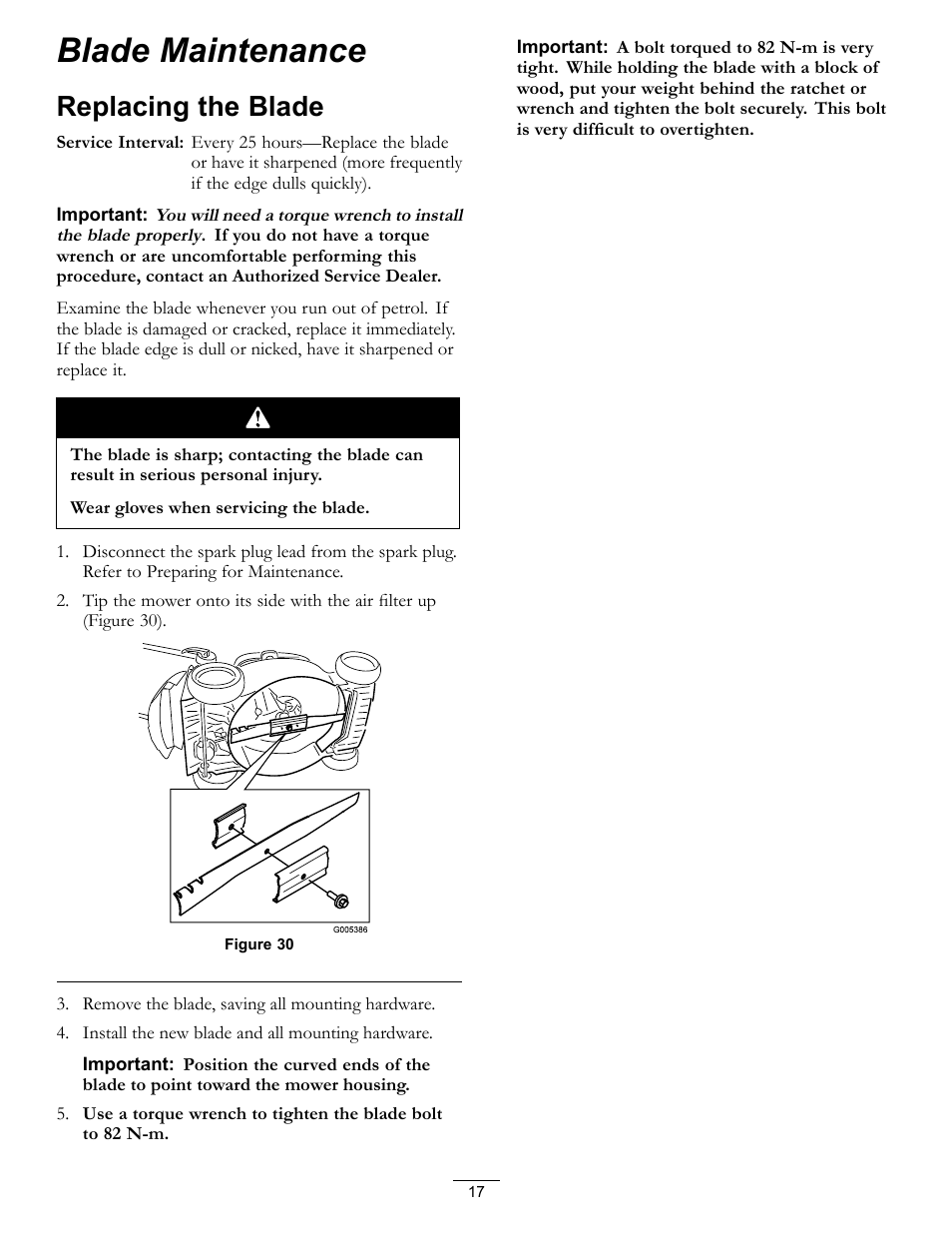 Blade maintenance, Replacing the blade | Hayter Mowers R48 Recycling Mower 447F User Manual | Page 17 / 24