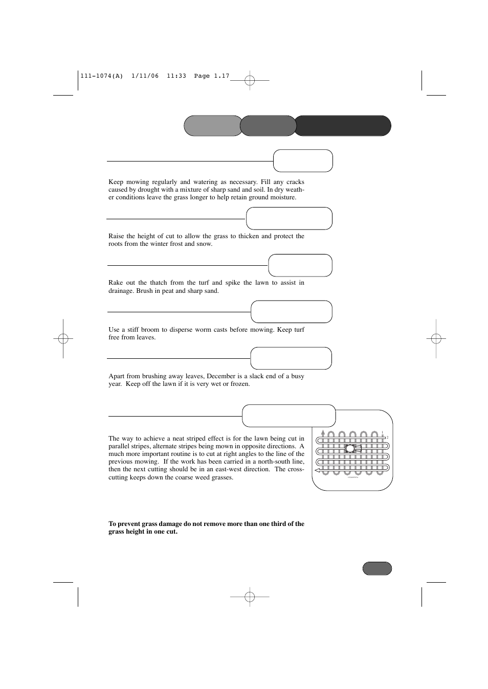 Lawn stripes | Hayter Mowers Envoy 36 User Manual | Page 17 / 32