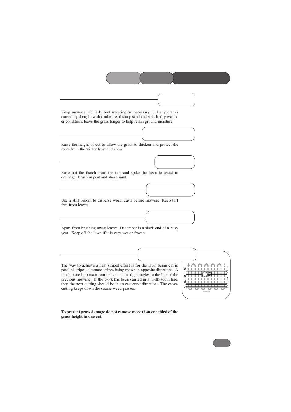 Lawn stripes | Hayter Mowers Harier 41 412E User Manual | Page 21 / 40