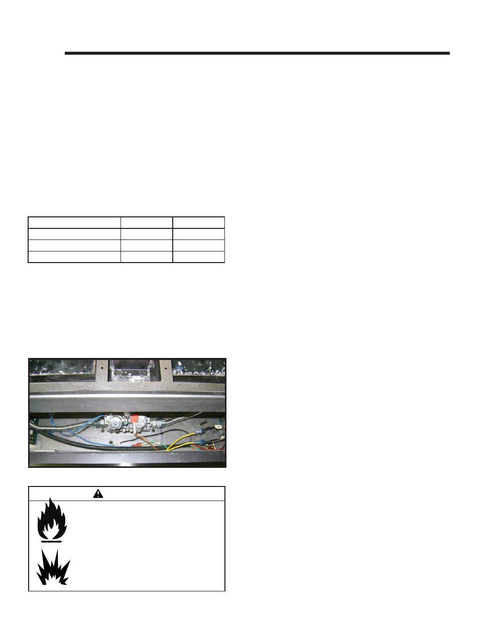 Gas information, Warning | Heat & Glo Fireplace RED40ST User Manual | Page 41 / 78