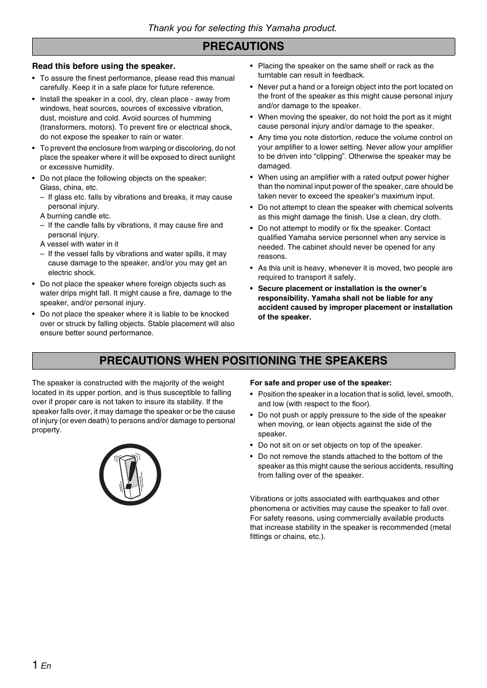 Precautions, Precautions when positioning the speakers | Yamaha Soavo-1 User Manual | Page 2 / 36