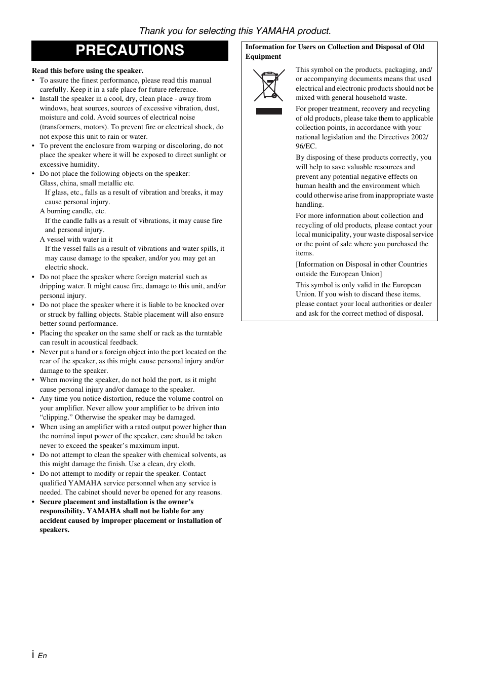 English, Precautions | Yamaha NS-F210 User Manual | Page 2 / 24