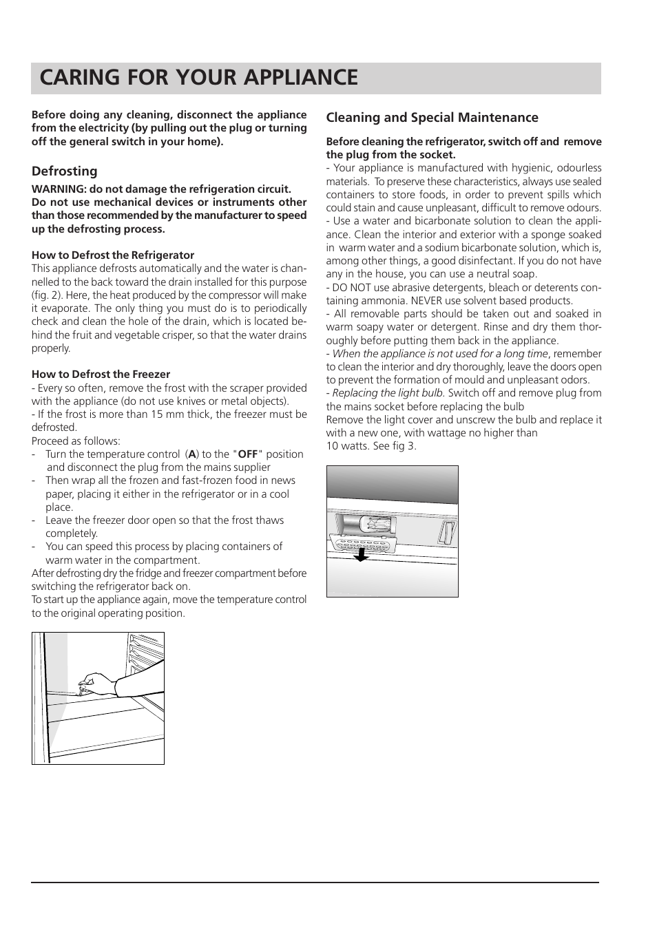 Caring for your appliance | Hotpoint RSA 21 User Manual | Page 11 / 16