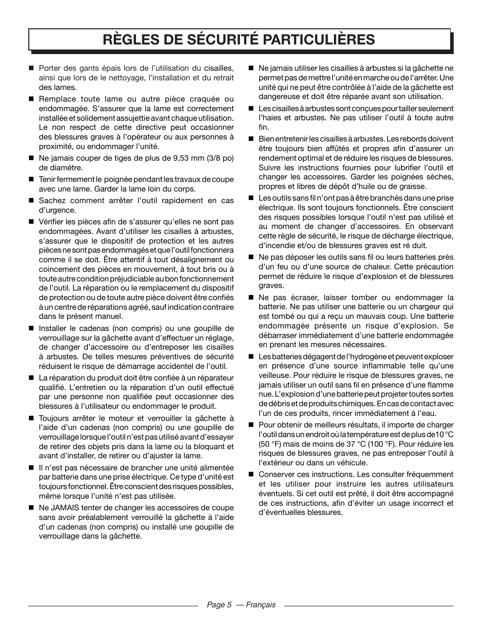 Règles de sécurité particulières | Homelite UT44171 User Manual | Page 19 / 42