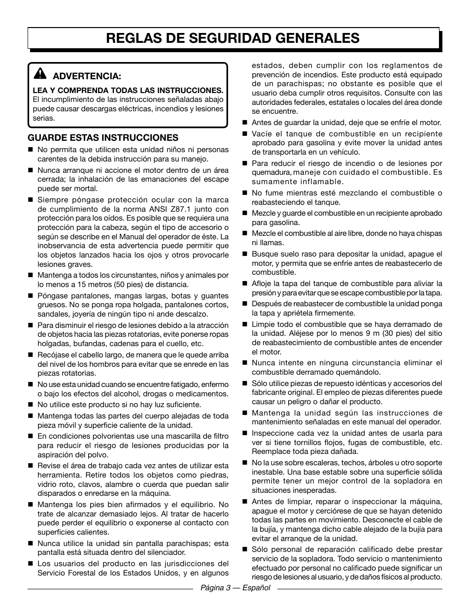 Reglas de seguridad generales | Homelite UT09521 User Manual | Page 29 / 42