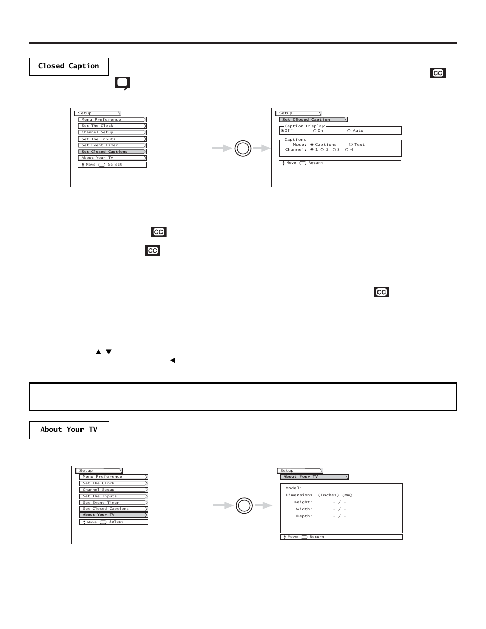 Setup, Closed caption | Hitachi 51SWX20B User Manual | Page 62 / 72