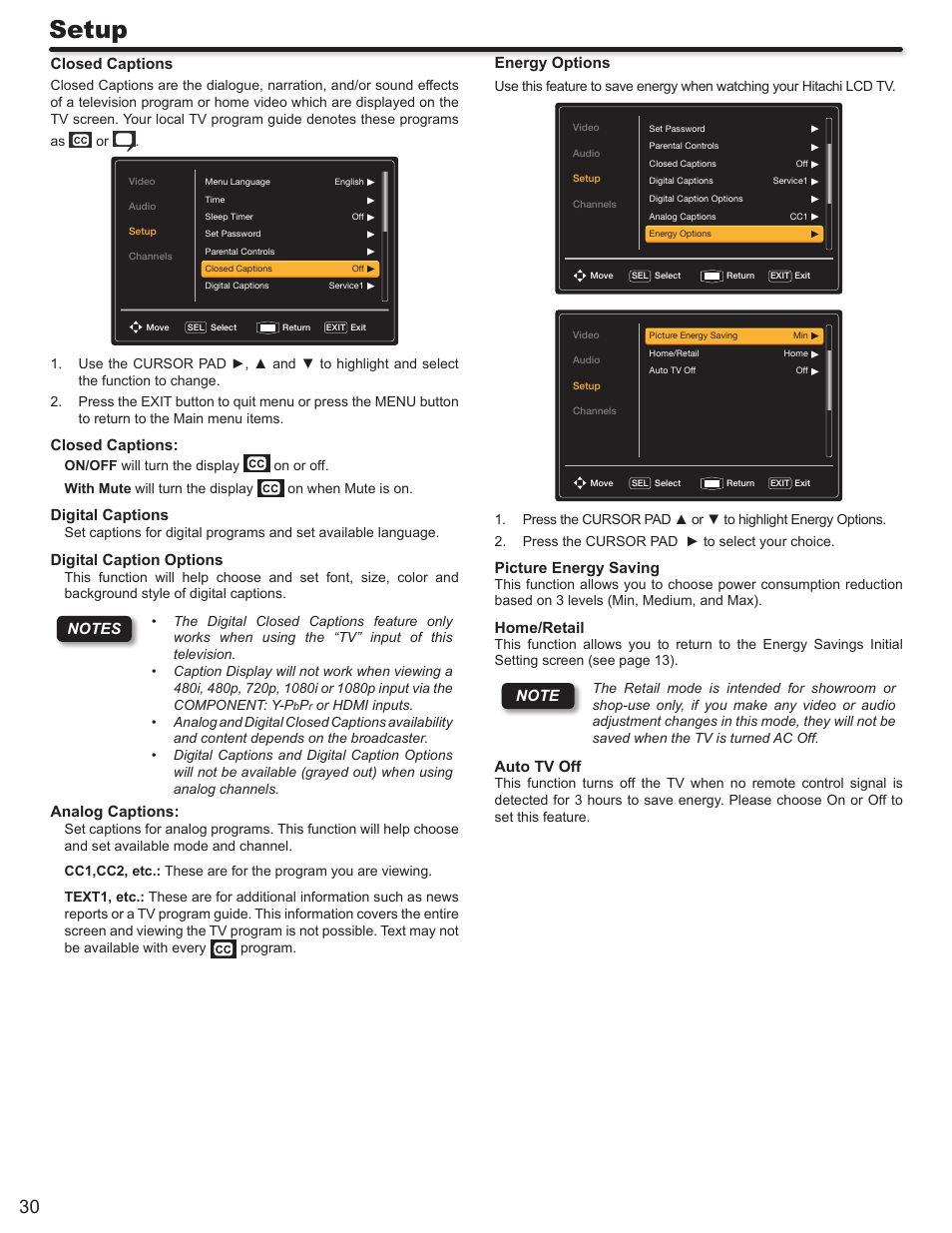 Setup | Hitachi ALPHA SERIES L32A404 User Manual | Page 30 / 52