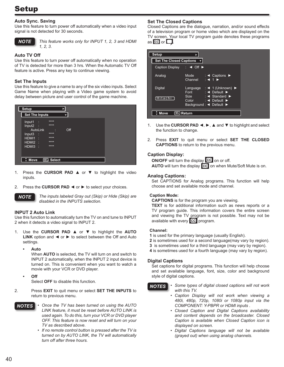 Setup | Hitachi P50S602 User Manual | Page 40 / 60