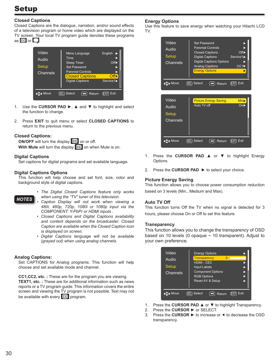 Setup | Hitachi L32A403 User Manual | Page 30 / 51