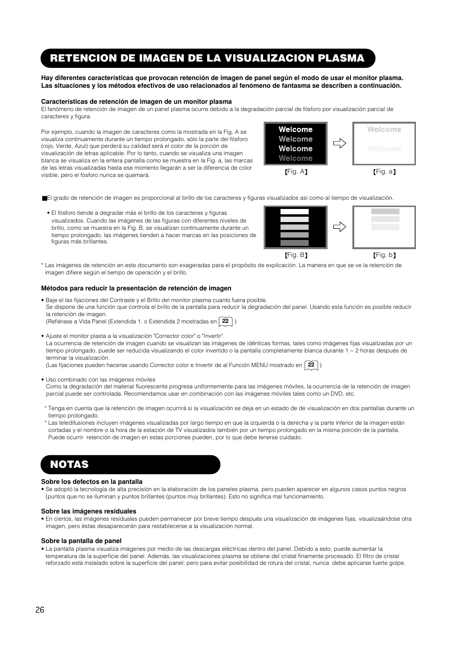 Notas, Retencion de imagen de la visualizacion plasma | Hitachi CMP420V1 User Manual | Page 120 / 142