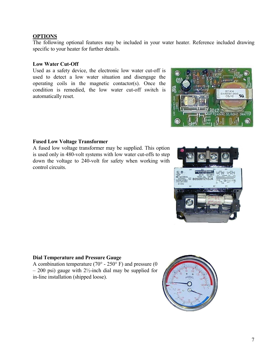 Options, Low water cut-off, Fused low voltage transformer | Dial temperature and pressure gauge | Hubbell Electric Heater Company B User Manual | Page 7 / 25