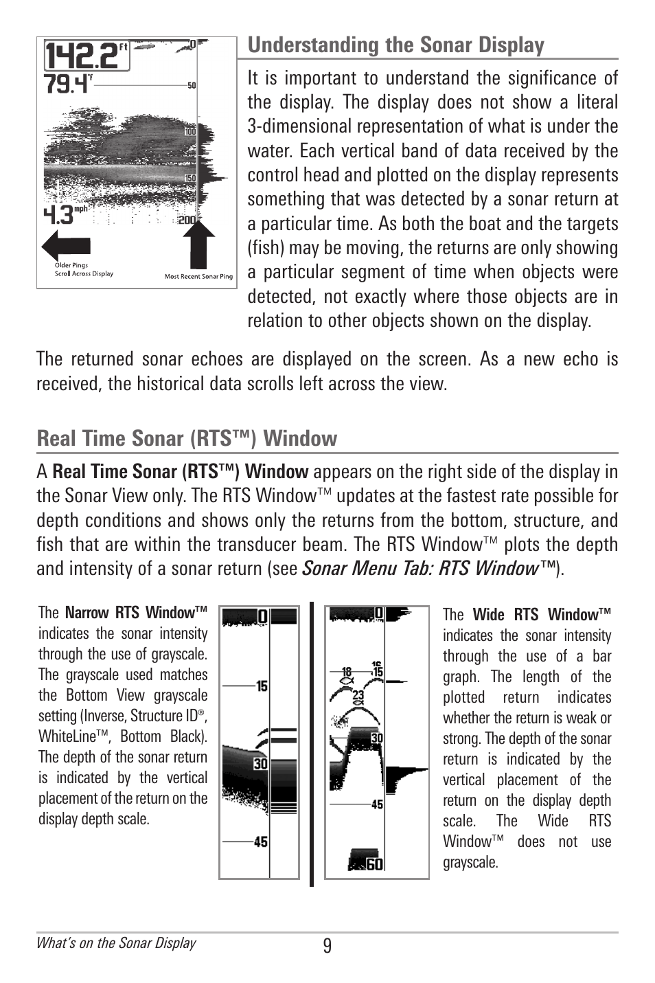 Understanding the sonar display, Real time sonar (rts™) window | Humminbird 561 User Manual | Page 16 / 83